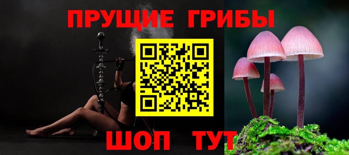 Галлюциногенные грибы Psilocybe Волжск